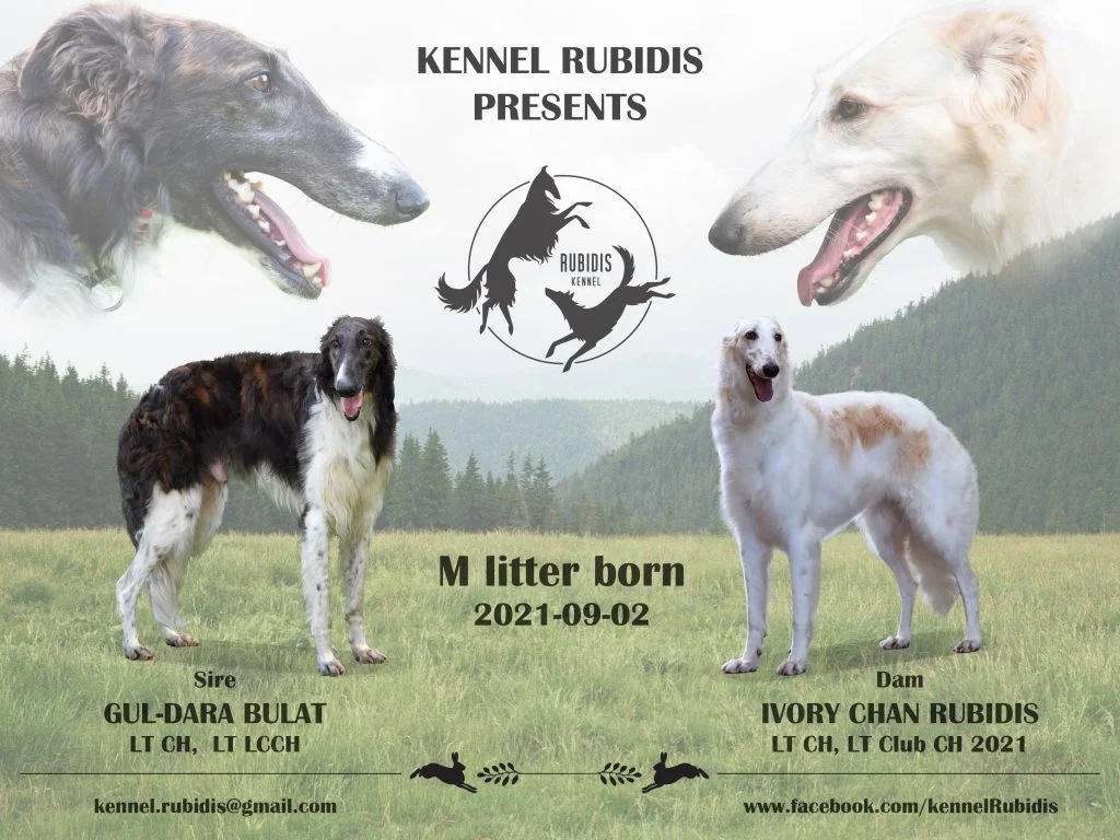 M litter parents